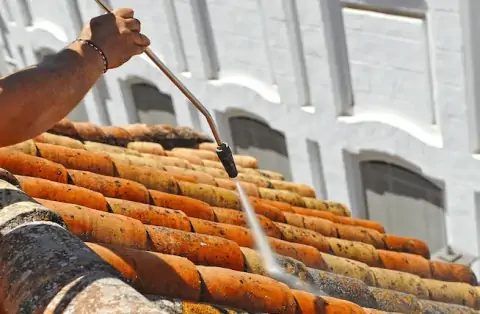 Nettoyage de toitures - Rosis